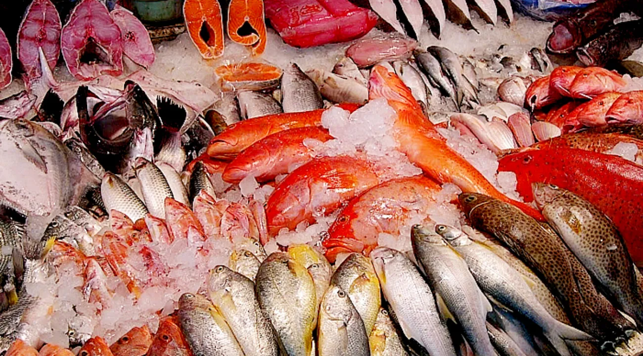 Mentri Kelautan dan Perikanan Mengungkapkan Produksi Ikan untuk Makan Gratis Tidak Menjadi Masalah
