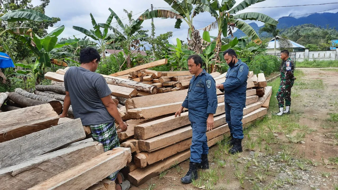 Gakkum KLHK Sulawesi Berhasil Menggagalkan Peredaran Kayu Ilegal Dalam Operasinya